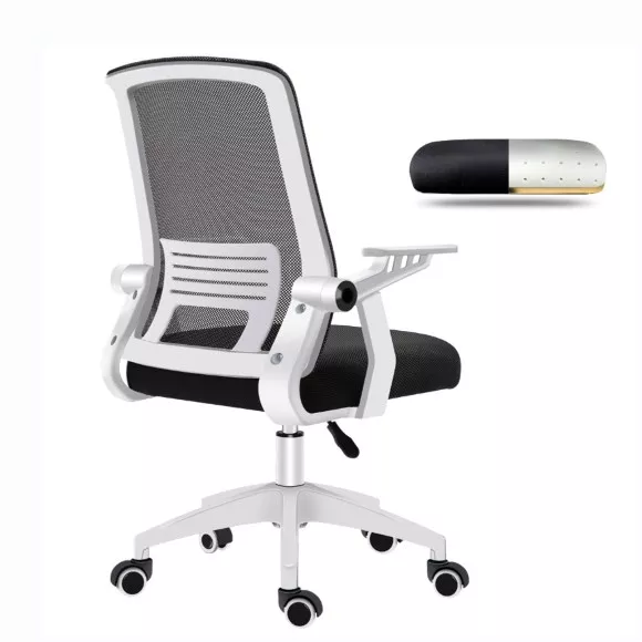 Staff Chairs SC-126